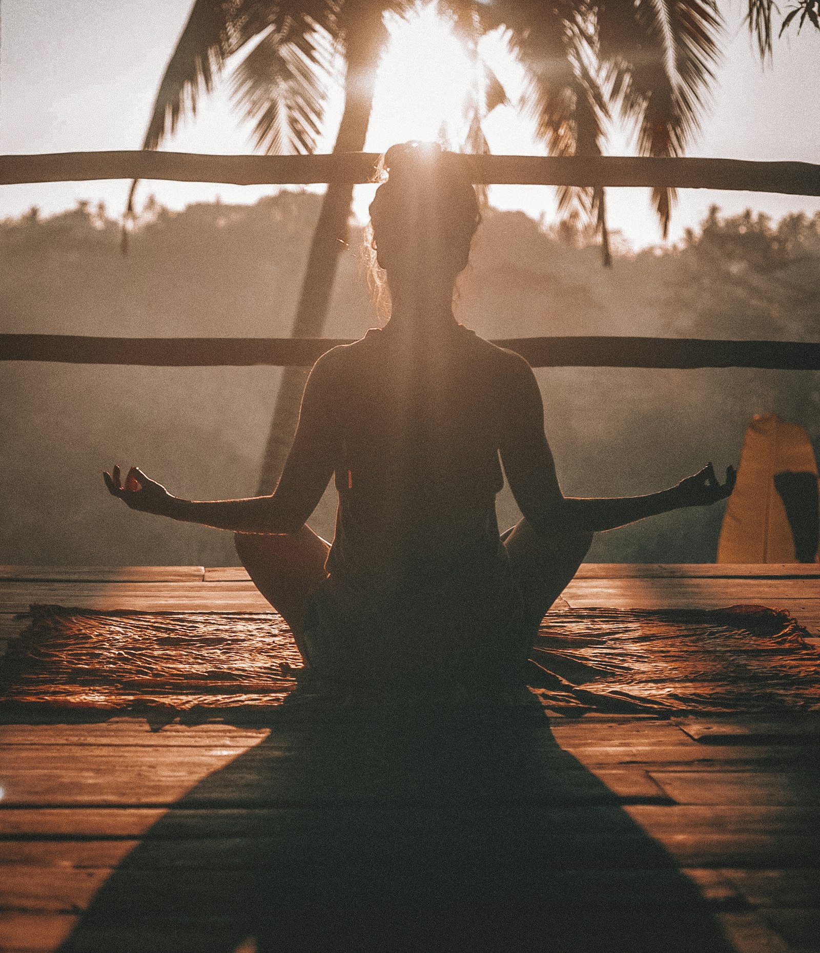 Mindful wellness practice outdoors